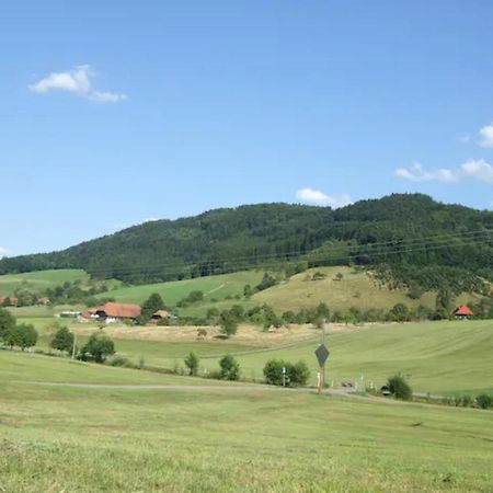 Sonniges-Naturnahes-Schwarzwald-Ferienhaeuschen Welschensteinach Kültér fotó