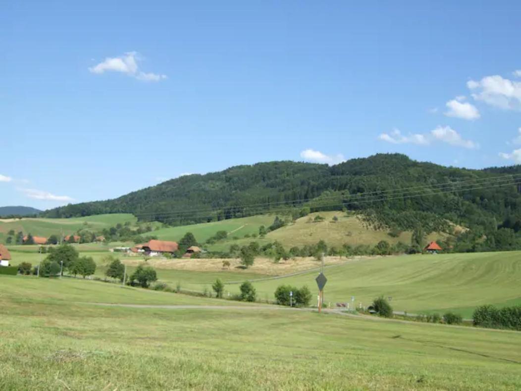 Sonniges-Naturnahes-Schwarzwald-Ferienhaeuschen Welschensteinach Kültér fotó