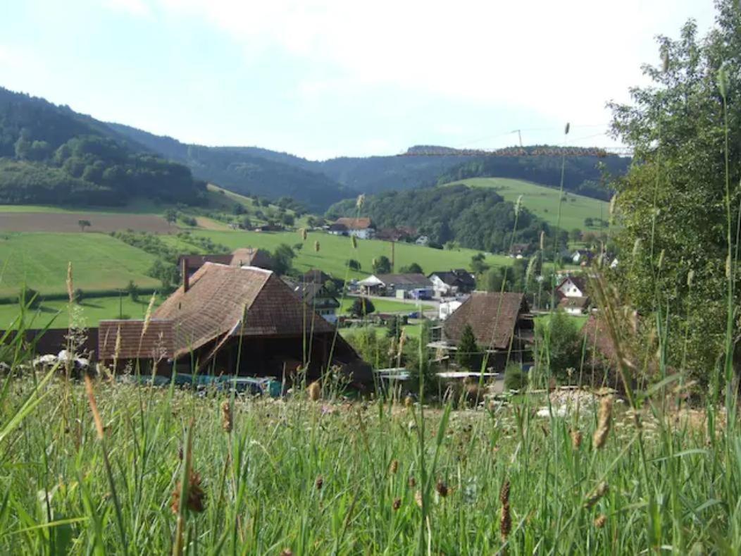 Sonniges-Naturnahes-Schwarzwald-Ferienhaeuschen Welschensteinach Kültér fotó