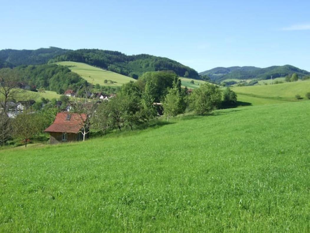 Sonniges-Naturnahes-Schwarzwald-Ferienhaeuschen Welschensteinach Kültér fotó